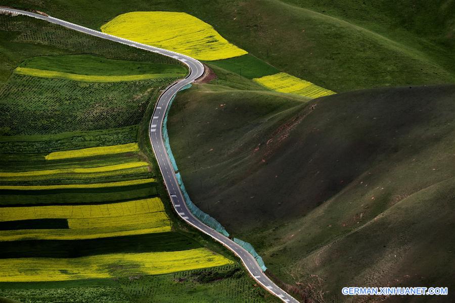 (EcoChina)CHINA-HORTICULTURAL EXPO-QINGHAI (CN)