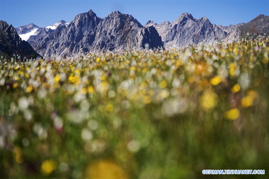 (EcoChina)CHINA-HORTICULTURAL EXPO-QINGHAI (CN)