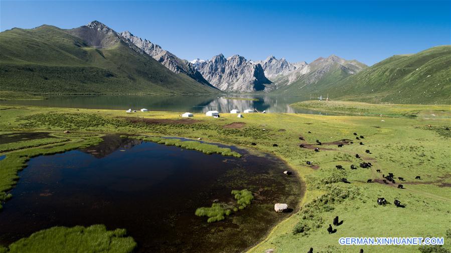 (EcoChina)CHINA-HORTICULTURAL EXPO-QINGHAI (CN)