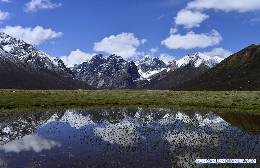 (EcoChina)CHINA-HORTICULTURAL EXPO-QINGHAI (CN)